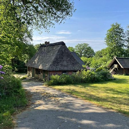 Heidehof Oberhaverbeck Villa Bispingen Kültér fotó